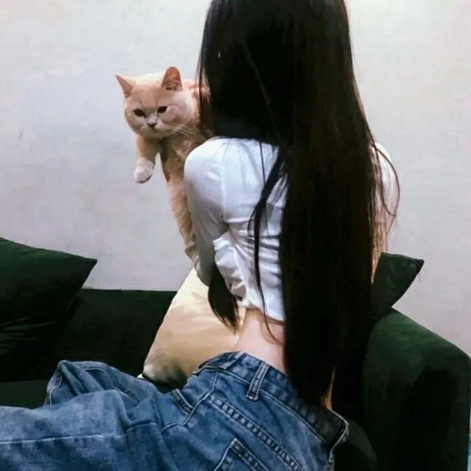 护花惊情
